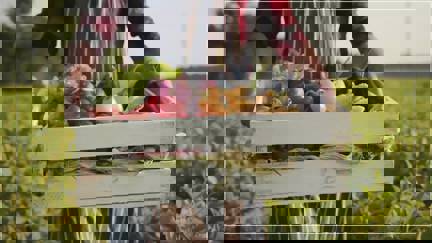 Image from Twitter - 7/3/2020 9:10:47 AM Image from Twitter - 7/3/2020 9:10:47 AM