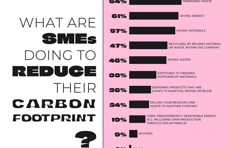 Graph showing what SMEs are doing to reduce their carbon footprint, Instagram visual © EIF