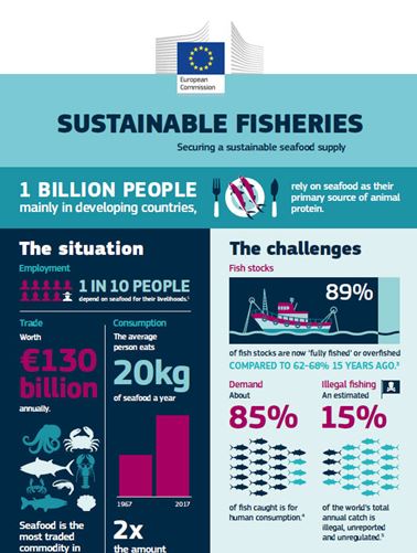 First part of infographic on sustainable fisheries