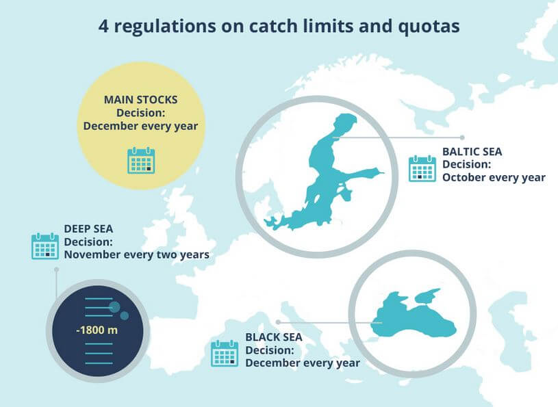 Demystifying fish quotas Tipik Communication Agency
