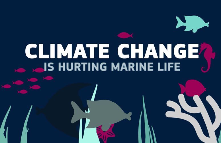 Animation on climate change and its impact on the oceans